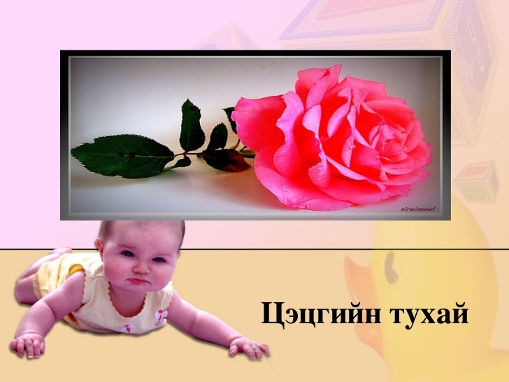 амьд биеийн бүтэц