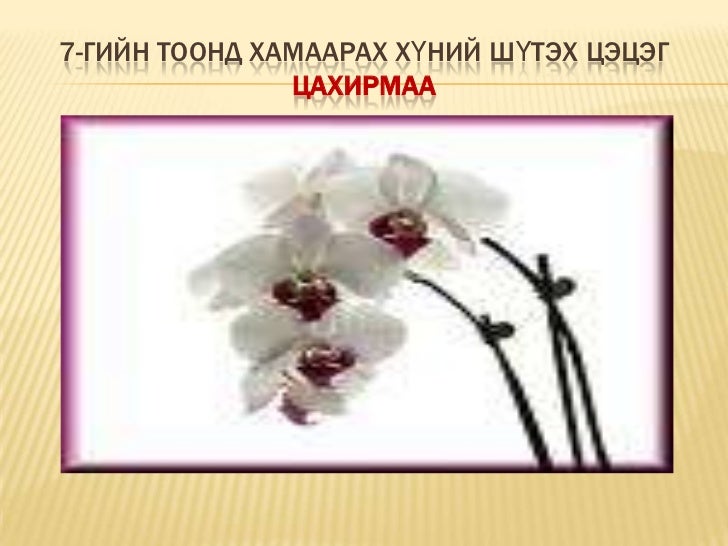 харилцаа ба эерэг сэтгэлгээ