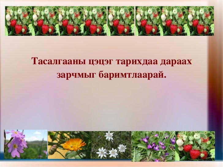 ургамал тарьж суръя.