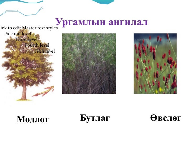 хүн орчин
