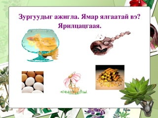 Зургуудыг ажигла. Ямар ялгаатай вэ? Ярилцацгаая. 