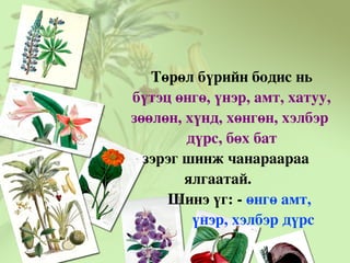 Төрөл бүрийн бодис нь  бүтэц өнгө, үнэр, амт, хатуу,  зөөлөн, хүнд, хөнгөн, хэлбэр  дүрс, бөх бат   зэрэг шинж чанараараа  ялгаатай. Шинэ үг: -  өнгө амт,  үнэр, хэлбэр дүрс  