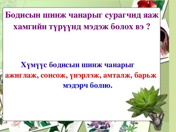 бодисын шинж чанар