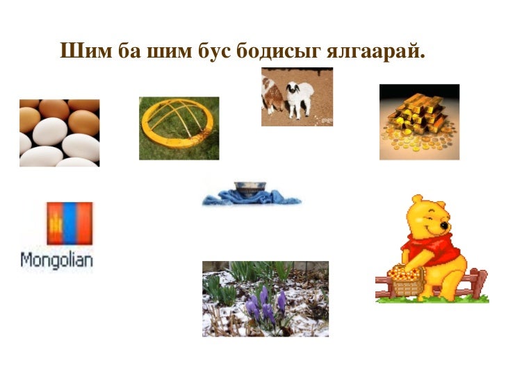 амьд ба амьгүй бие