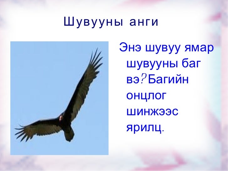цахим хэрэглэгдэхүүн