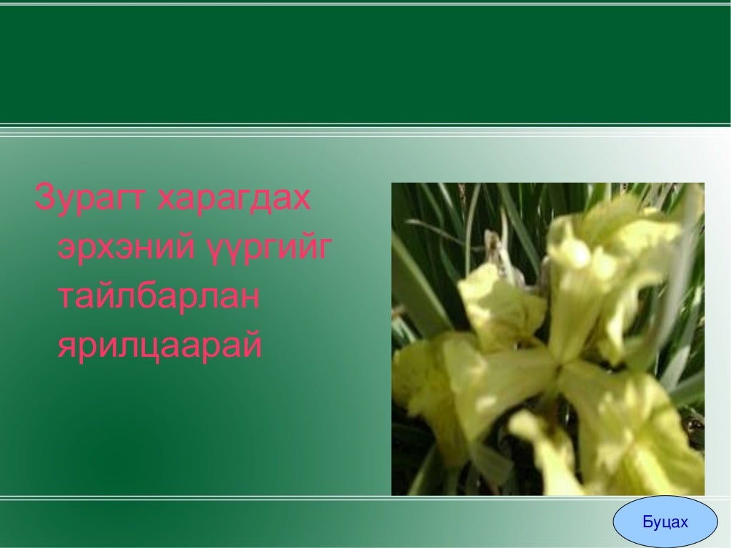 ургамалын эрхтэн