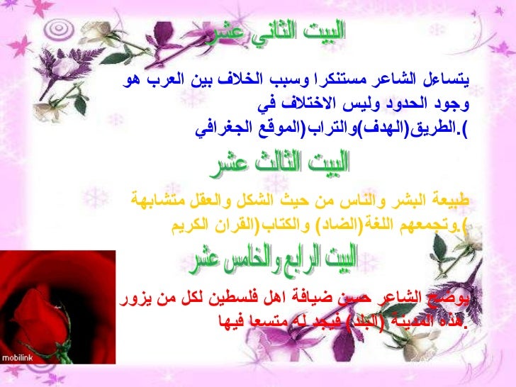 يافا الجميلة نرمين