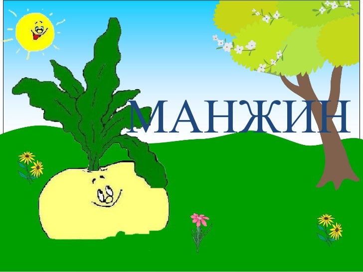 манжин