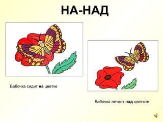 НА-НАД Бабочка сидит  на  цветке Бабочка летает  над  цветком 
