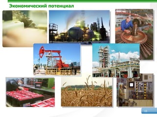 Экономический потенциал




                          15
 