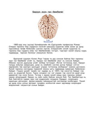 Баруун зүүн тал бөмбөлөг




     1960-аад оны эцсээр Калифорнийн Их Сургуулийн профессор Рожер
Сперри тархины бор гадаргын гүнзгий хувьсалд судалгаа хийж зохих үр дүнд
хүрснийхээ төлөө Нобелийн шагнал хүртэв. Сперригийн эхний судалгаа нь
тархины бор гадарга хоёр тал бөмбөлөгөөс тогтдог, тэдгээрт хүний оюуны суурь
чадварууд тархсан болохыг илрүүлсэн билээ.


     Британий судлаач Колин Роуз “хэрэв та дуу сонсож байгаа бол тархины
зүүн тал бөмбөлөг үгийг нь, баруун тал бөмбөлөг аяыг нь сонсож байдаг.
Иймээс хүссэн дууныхаа үгийг хялбар тогтоодог. Ингэж тогтооход зүүн, баруун
талууд хоёулаа хамрагдаж, дээр нь лимбийн систем дотор байдаг сэтгэл
хөдлөлийн төв хамтарч оролцдог учраас тогтооход хялбархан” хэмээн дүгнэжээ.
Хүний тархины хэсгүүдэд тодорхой оюуны цогц чадварууд хуваагдан байрласан
байдаг. Гэхдээ үүнийг тухайн нэг чадвар нь яг 100% тэр хэсэгтээ байдаг гэж
үзэх нь алдаатай болно. Тархи нэгдмэл нэг нэг учраас тэр хэсэгтээ арай илүү
давамгай гэж хэлж болно. Тэгээд ч зарим хүний хувьд зүүн тархины хийдэг
зарим үйлдлүүдийг баруун нь сайн хийж байсан жишээ бий. Тал бөмбөлгүүд нь
бие биетэйгээ гурван зуун сая мэдрэлийн эсүүдээс бүрддэг, хоорондоо
харилцан үйлчилдэг, физик-химийн гайхамшигтай системээр холбогддог. Үүний
үр дүнд олон улсын автомат телефон холбоотой ижил зарчмаар хоорондоо
мэдээллийг тасралтгүй сольж байдаг.
 