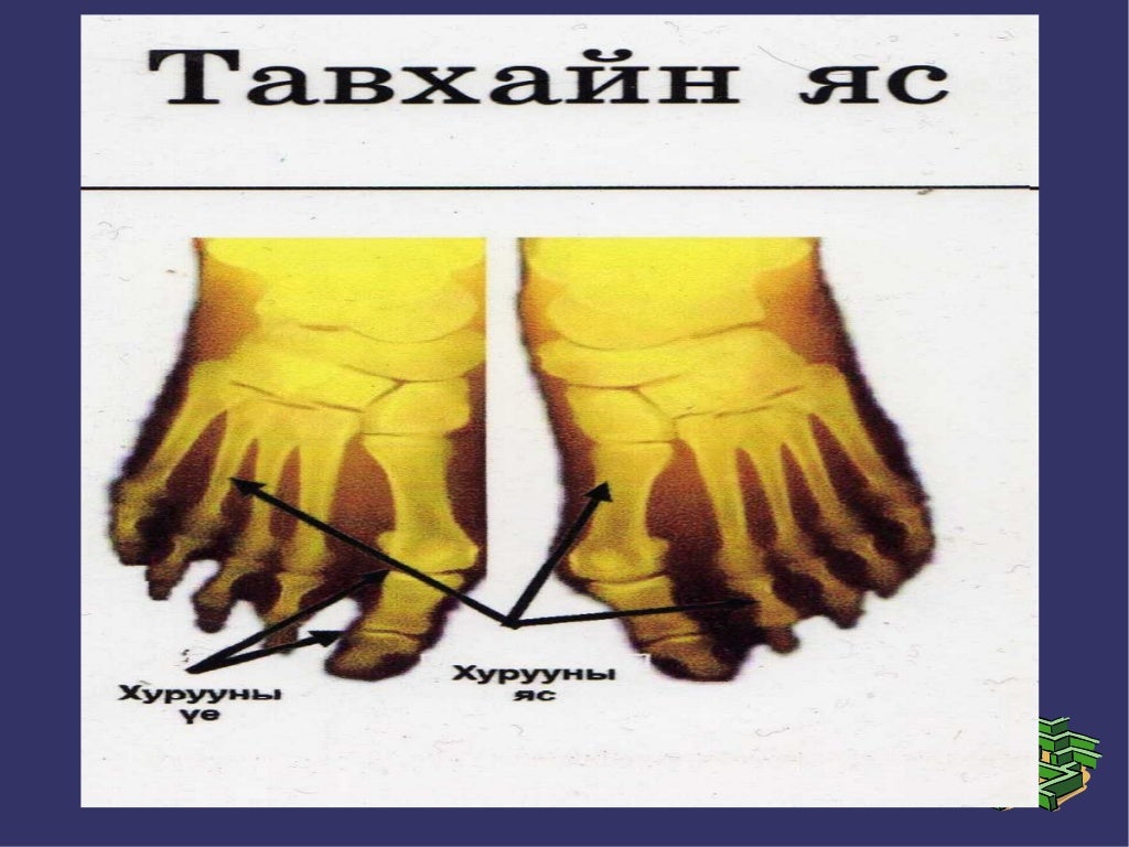 араг яс цахим хэрэглэгдэхүүн