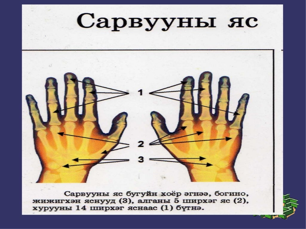 араг яс цахим хэрэглэгдэхүүн