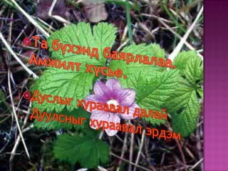 Дуунд орсон нууруудын нэрийг олж бич.