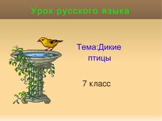Урок русского языка Тема:Дикие  птицы 7 класс 
