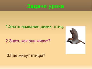 Перелетные Птицы Пермского Края Фото С Названиями
