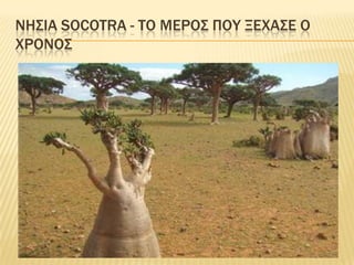ΝησιΑSocotra - το μΕροΣπου ξΕχασεο χρΟνοΣ