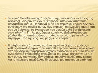 Τα νησιά Socotra (ανοιχτά της Υεμένης, στο λεγόμενο Κέρας της Αφρικής) μοιάζουν να έχουν ξεπηδήσει από έναν απίστευτο φανταστικό κόσμο. Παράξενα φυτά και περίεργοι κορμοί δέντρων συνθέτουν την πανίδα αυτών των νησιών - θα ένοιωθε κανείς κάτι σαν να βρίσκεται σε ένα κόσμο που μοιάζει αλλά δεν βρίσκεται στον πλανήτη Γη. Αν μας ζήταγε κανείς να βαθμολογήσουμε μάλλον θα τα τοποθετούσαμε πρώτα στην λίστα με τα πλέον περίεργα μέρη της γης μας, μαζί με το επόμενο. Η αλήθεια είναι ότι όντως αυτά τα νησιά τα ξέχασε ο χρόνος - καθώς αποκολλήθηκαν πριν από 20 περίπου εκατομμύρια χρόνια από την Αφρική, παρέμειναν σχεδόν αναλλοίωτα και αυτό που θα αντικρύσει ο επισκέπτης σίγουρα θα του μείνει αξέχαστο! Το 1/3 των φυτών του νησιού δεν υπάρχει πουθενά αλλού στον κόσμο και το περίεργο περιβάλλον δημιουργεί μια απόκοσμη αίσθηση!