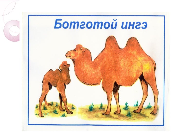 даалгавар