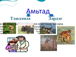 Амьтад Тэжээмэл Зэрлэг Click to edit Master text styles Second level Third level Fourth level Fifth level Click to edit Master text styles Second level Third level Fourth level Fifth level 