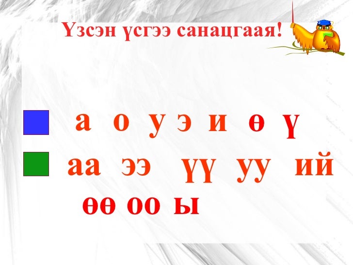 н авиа үсэг