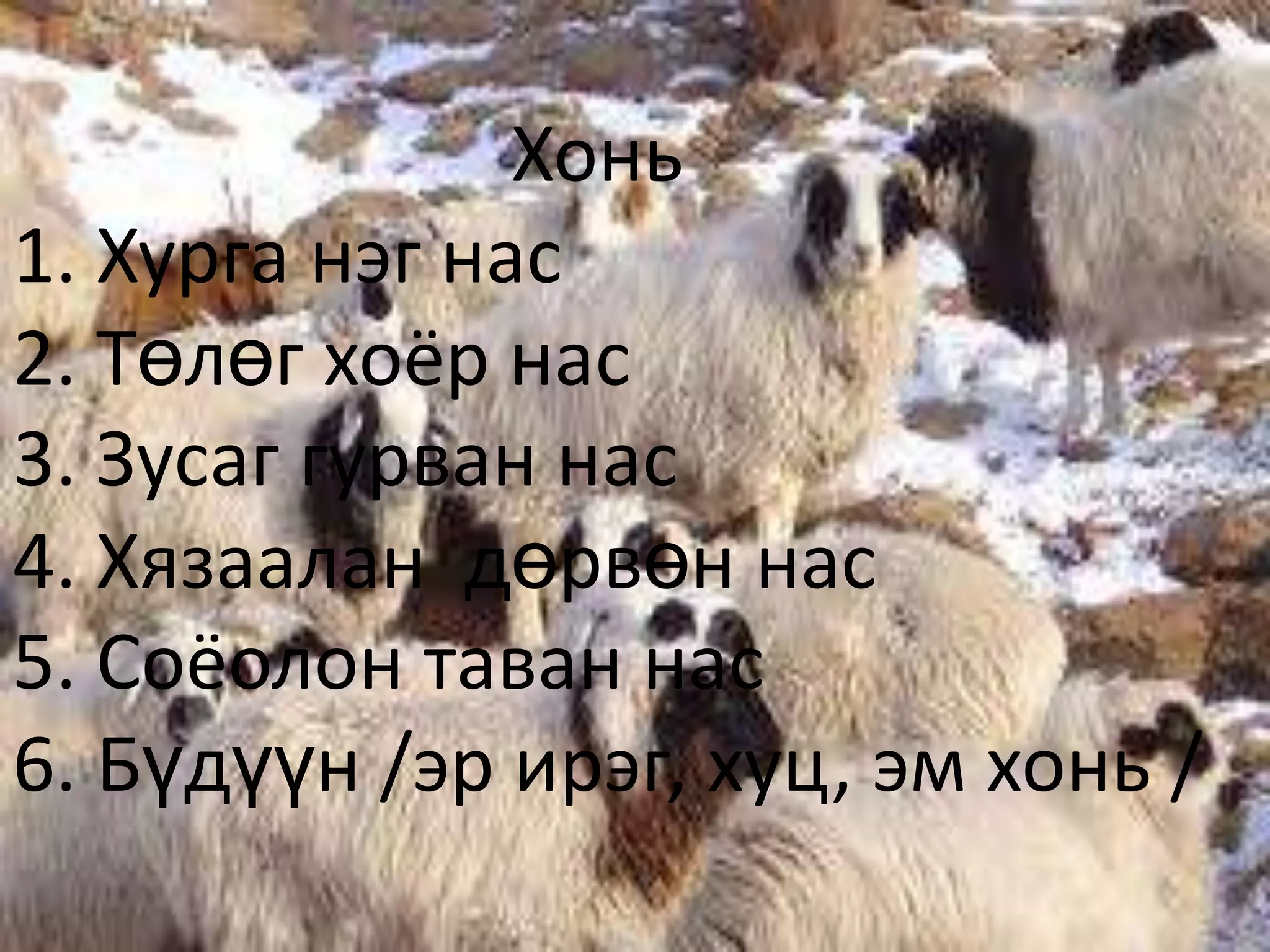 таван хошуу мал