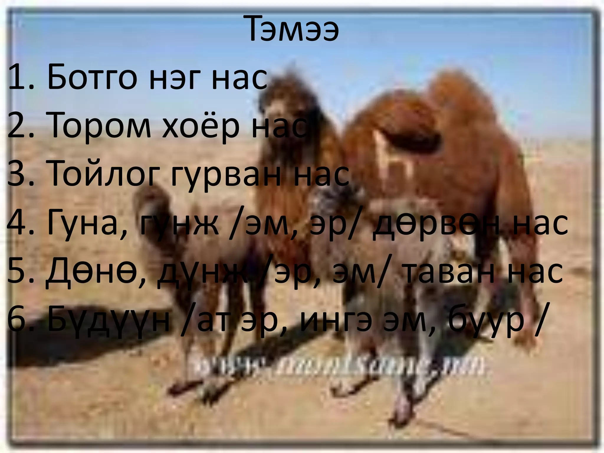 таван хошуу мал