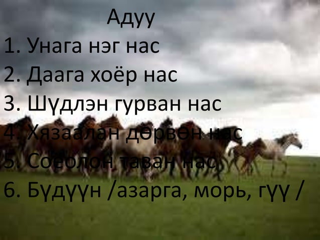 таван хошуу мал