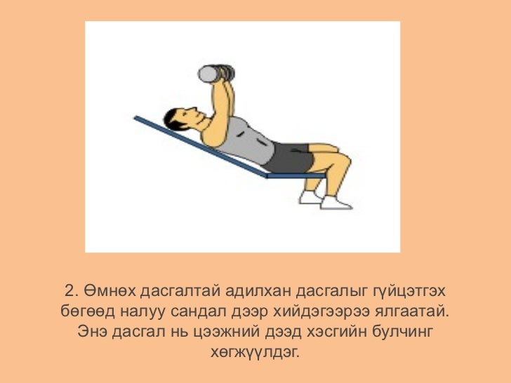 цээжний булчин