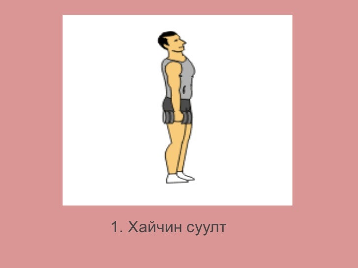 хөлийн булчин