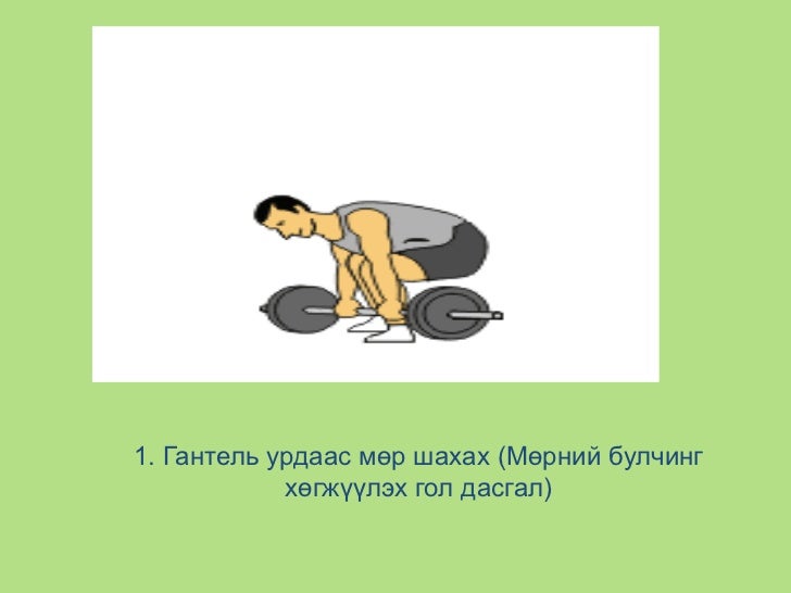 нурууны булчин