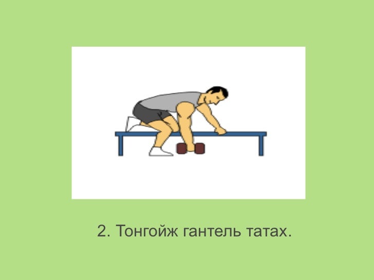 нурууны булчин