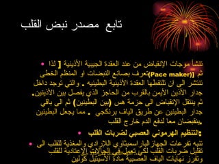 تابع  مصدر نبض القلب تنشأ موجات الإنقباض من عند العقدة الجيبية الأذينية  [  لذا تعرف بصانع النبضات او المنظم الخطى  ( Pace maker )]   ثم تنتشر الى ان تلتقطها العقدة الأذينية البطينيه  .  والتي توجد داخل جدار الأذين الأيمن بالقرب من الحاجز الذي يفصل بين الأذينين .  ثم ينتقل الإنقباض الى حزمة هس  ( بين البطينين )  ثم الى باقي جدار البطينين عن طريق الياف برنكجي   .  مما يجعل البطينين ينقبضان معا لدفع الدم خارج القلب  . التنظيم الهرموني العصبي لضربات القلب  : تنبه تفرعات الجهازالباراسمبثاوي اللإرادي والمغذية للقلب الى تقليل ضربات القلب لكي تعمل في الحالات الإعتادية للقلب وتفرز نهايات الياف العصبية مادة الأسيتيل كولين  ( Acetylcholine   )  كناقل عصبي  . في حين ان تفرعات الجهاز العصبي السيمبثاوي تزيد من ضربات القلب  ويكون ذلك في الحالات غير الإعتيادية كالجري او الخوف ، حيث تفرز نهايات الخلايا العصبية هرمون النورأدرينالين  