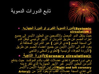 تابع الدورات الدموية  الدورة الدموية الكبرى او الدورة الجهازيه  ( Systemic circulation  ) حيث ينتقل الدم  المحمل بالأكسجين من البطين الأيسر الى جميع اجزاء الجسم عن طريق الشريان أو الأبهر الرئيسي لينقل الدم الى انسجة الجسم  ( عدى الرئتين  )  عبر الشرايين المختلفة ثم يعود الدم الى الأذين الأيمن من جميع اعضاء الجسم عن طريق الأوردة الجوفاء الرئيسية  ( العلوي والسفلي والتاجي  ) الدورة  التاجية  ( Coronary circulation ): وهي دورة صغيرة تغذي عضلات القلب بالدم المؤكسد  حيث يندفع الدم من البطين الأيسر عبر الابهر الجهازية الذي تتفرع منه الشرايين التاجية الأيمن والأيسر  Right and left coronary Artery) )   التي تغذي انسجة عضلات القلب ثم يعود الدم  من انسجة القلب عن طريق الوريد او الجيب التاجي  ( Coronary sinus )  الى الأذين الأيمن للقلب  . 