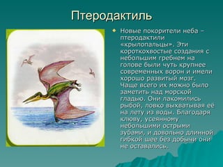 Птеродактиль Новые покорители неба – птеродактили «крылопальцы». Эти короткохвостые создания с небольшим гребнем на голове были чуть крупнее современных ворон и имели хорошо развитый мозг. Чаще всего их можно было заметить над морской гладью. Они лакомились рыбой, ловко выхватывая её на лету из воды. Благодаря клюву, усеянному небольшими острыми зубами, и довольно длинной гибкой шее без добычи они не оставались. 