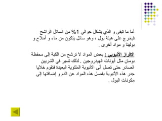 أما ما تبقى و الذي يشكل حوالي  1%  من السائل الراشح فيخرج على هيئة بول ، وهو سائل يتكون من ماء و أملاح و بولينا و مواد أخرى  .  الإفراز الأنبوبي  :   بعض المواد لا ترشح من الكبة إلى محفظة بومان مثل أيونات الهيدروجين  .  لذلك تسير في الشريين الصادر حتى تصل ألى الأنبوبة الملتوية البعيدة فتقوم خلايا جدر هذه الأنبوبة بفصل هذه المواد عن الدم و إضافتها إلى مكونات البول  . 