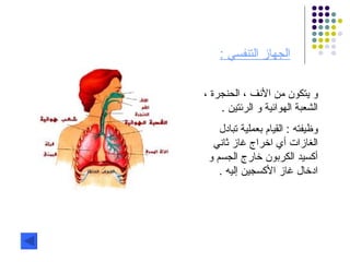 الجهاز التنفسي  : و يتكون من الأنف ، الحنجرة ، الشعبة الهوائية و الرئتين  . وظيفته  :  القيام بعملية تبادل الغازات أي اخراج غاز ثاني أكسيد الكربون خارج الجسم و ادخال غاز الأكسجين إليه  . 