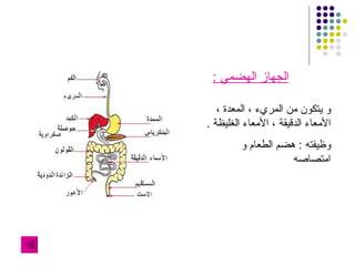 الجهاز الهضمي  : و يتكون من المريء ، المعدة ، الأمعاء الدقيقة ، الأمعاء الغليظة  . وظيفته  :  هضم الطعام و امتصاصه  
