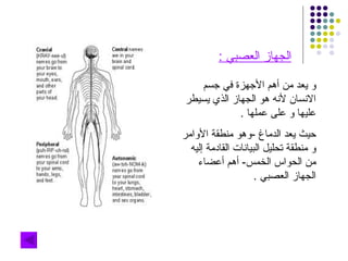 الجهاز العصبي  : و يعد من أهم الأجهزة في جسم الانسان لأنه هو الجهاز الذي يسيطر عليها و على عملها  . حيث يعد الدماغ  - وهو منطقة الأوامر و منطقة تحليل البيانات القادمة إليه من الحواس الخمس -  أهم أعضاء الجهاز العصبي  . 