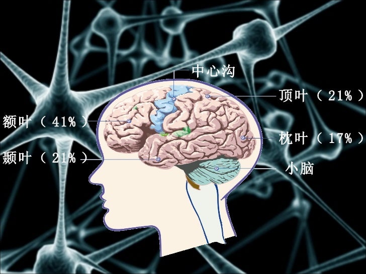 多元潜能 多元潜能
