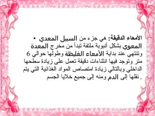 الأمعاء الدقيقة :   هي جزء من  السبيل المعدي المعوي  بشكل أنبوبة ملتفة تبدأ من مخرج  المعدة  وتنتهي عند بداية  الأمعاء الغليظة  وطولها حوالي  6  متر وتوجد فيها انثناءات دقيقة تعمل على زيادة سطحها الداخلي وبالتالي زيادة امتصاص المواد الغذائية التي يتم نقلها إلى  الدم  ومنه إلى جميع خلايا الجسم .  