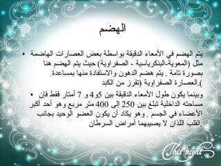 الهضم  يتم الهضم في الأمعاء الدقيقة بواسطة بعض العصارات الهاضمة مثل  ( المعوية - البنكرياسية  -  الصفراوية )  حيث يتم الهضم هنا بصورة تامة  .  يتم هضم الدهون والاستفادة منها بمساعدة العصارة الصفراوية  ( تفرز من الكبد ). وبينما يكون طول الأمعاء الدقيقة بين  5 و 4  و  7  أمتار فقط فإن مساحته الداخلية تبلغ بين  250  إلى  400  متر مربع وهو أحد أكبر الأعضاء في الجسم  .  وهو يكاد أن يكون العضو الوحيد بجانب القلب اللذان لا يصيبهما أمراض السرطان  . 