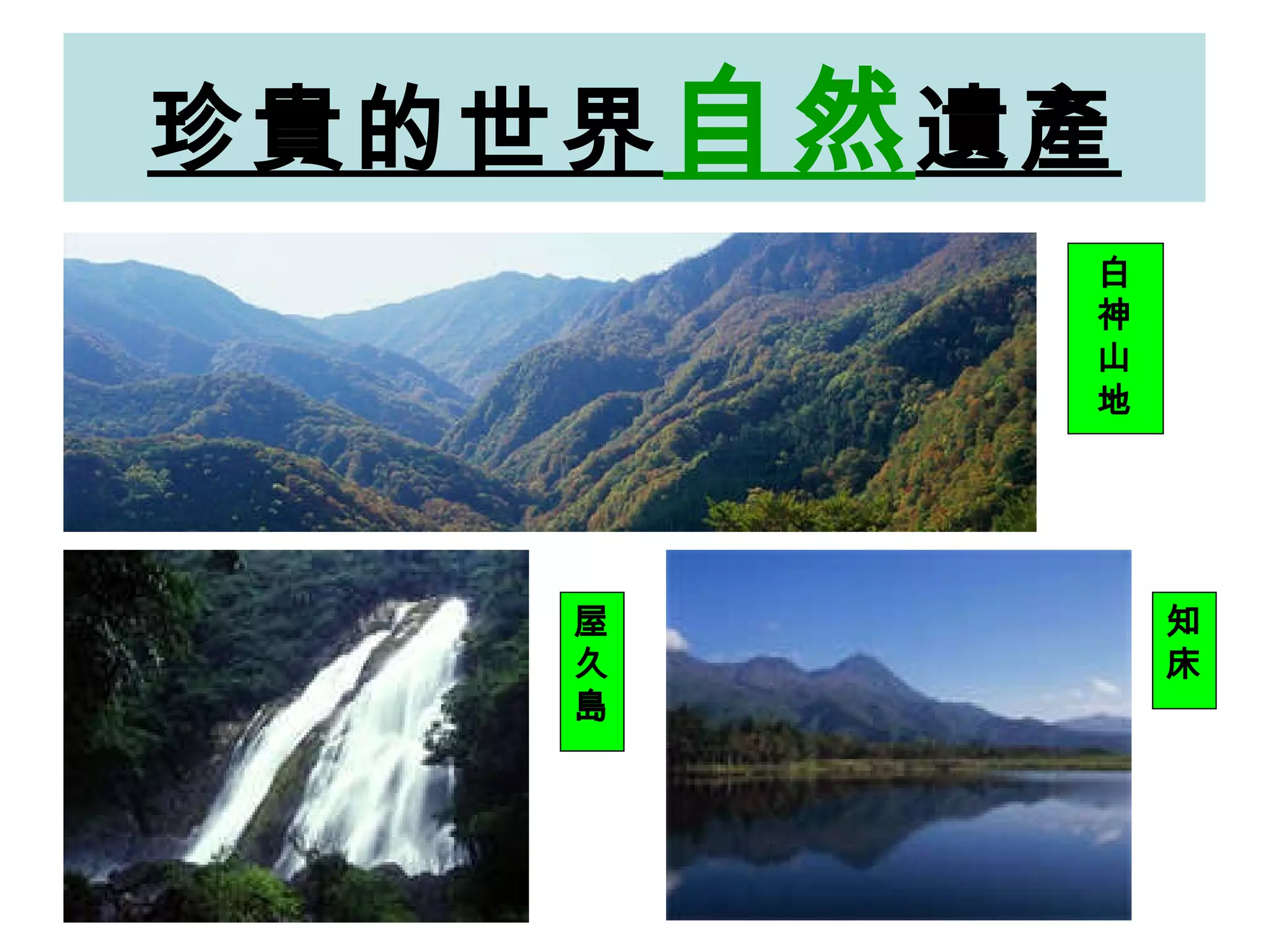 珍貴的世界 自然 遺產 白神山地 屋久島 知床 