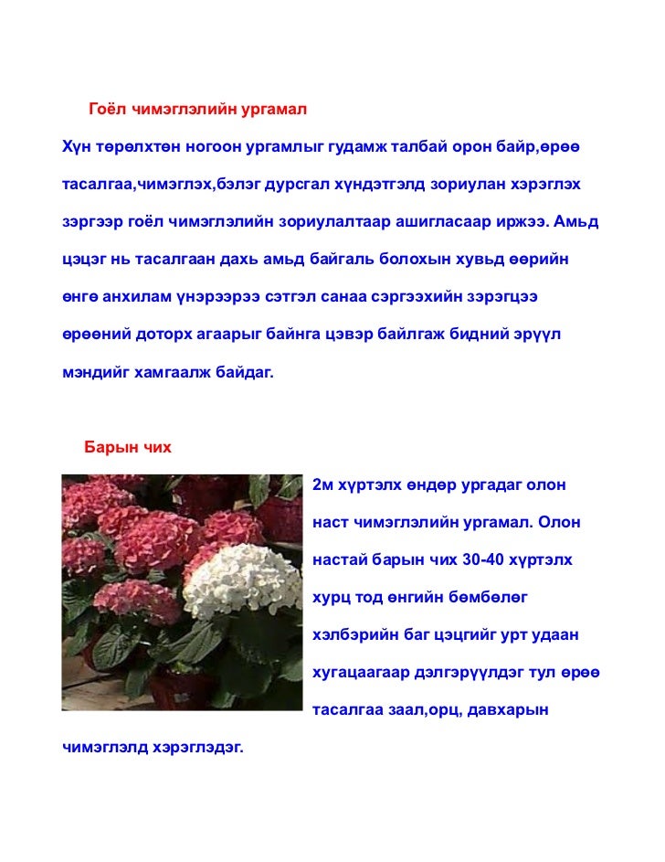 эмийн ургамал