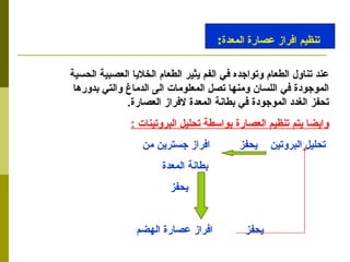 عند تناول الطعام وتواجده في الفم يثير الطعام الخلايا العصبية الحسية الموجودة في اللسان ومنها تصل المعلومات الى الدماغ والتي بدورها تحفز الغدد الموجودة في بطانة المعدة لافراز العصارة . وايضا يتم تنظيم العصارة بواسطة تحليل البروتينات  : تحليل البروتين  يحفز  افراز جسترين من  بطانة المعدة يحفز  يحفز  افراز عصارة الهضم تنظيم افراز عصارة المعدة : 