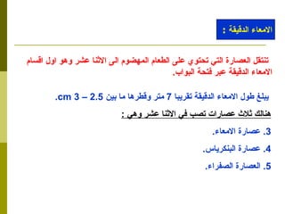 تنتقل العصارة التي تحتوي على الطعام المهضوم الى الاثنا عشر وهو اول اقسام الامعاء الدقيقة عبر فتحة البواب . يبلغ طول الامعاء الدقيقة تقريبا  7  متر وقطرها ما بين  2.5 – 3 cm . هنالك ثلاث عصارات تصب في الاثنا عشر وهي  : عصارة الامعاء . عصارة البنكرياس . العصارة الصفراء . الامعاء الدقيقة  : 