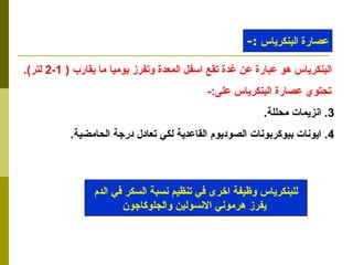 البنكرياس هو عبارة عن غدة تقع اسفل المعدة وتفرز يوميا ما يقارب  ( 1-2  لتر ). تحتوي عصارة البنكرياس على :- انزيمات محللة . ايونات بيوكربونات الصوديوم القاعدية لكي تعادل درجة الحامضية . عصارة البنكرياس  :- للبنكرياس وظيفة اخرى في تنظيم نسبة السكر في الدم يفرز هرموني الانسولين والجلوكاجون 