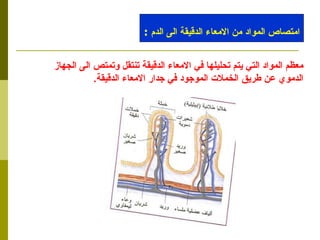 معظم المواد التي يتم تحليلها في الامعاء الدقيقة تنتقل وتمتص الى الجهاز الدموي عن طريق الخملات الموجود في جدار الامعاء الدقيقة .  امتصاص المواد من الامعاء الدقيقة الى الدم  : 