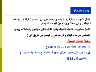 تنتقل المواد المتبقية بعد الهضم والامتصاص من الامعاء الدقيقة الى الامعاء الغليظة  ,  وهي اسمك وأوسع من الامعاء الدقيقة . تشمل محتويات الامعاء الغليظة بقايا الغذاء الغير مهضوم والفضلات ويجب  التخلص من هذه البقايا وطردها خارج الجسم عن طريق البراز . وظيفة الامعاء الغليظة : 1.  امتصاص كمية كبيرة من الماء والأملاح 2.  تحتوي على بكتيريا تعيش بصورة تكافلية مع جسم الانسان وتنتج  فيتامين  B12 , K  الامعاء الغليظة :- 