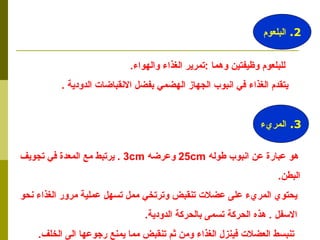 للبلعوم وظيفتين وهما  : تمرير الغذاء والهواء . يتقدم الغذاء في انبوب الجهاز الهضمي بفضل الانقباضات الدودية  . هو عبارة عن انبوب طوله  25cm   وعرضه  3cm  .  يرتبط مع المعدة في تجويف  البطن . يحتوي المريء على عضلات تنقبض وترتخي ممل تسهل عملية مرور الغذاء نحو  الاسفل  .  هذه الحركة تسمى بالحركة الدودية . تنبسط العضلات فينزل الغذاء ومن ثم تنقبض مما يمنع رجوعها الى الخلف .  2.  البلعوم 3.  المريء 